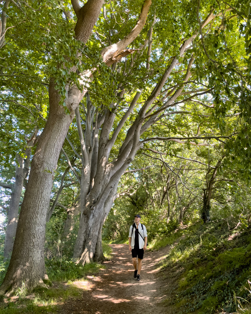 Walking around Haddebyer Noor