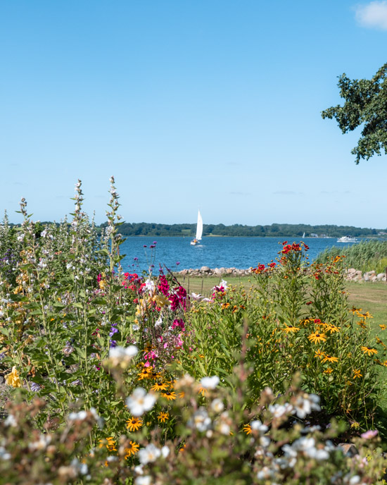 View towards the Schlei