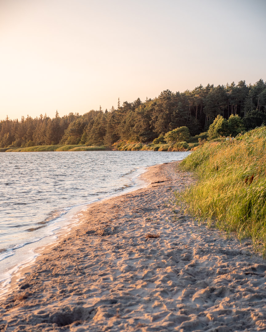 Hidden swimming spot along the banks of the Schlei