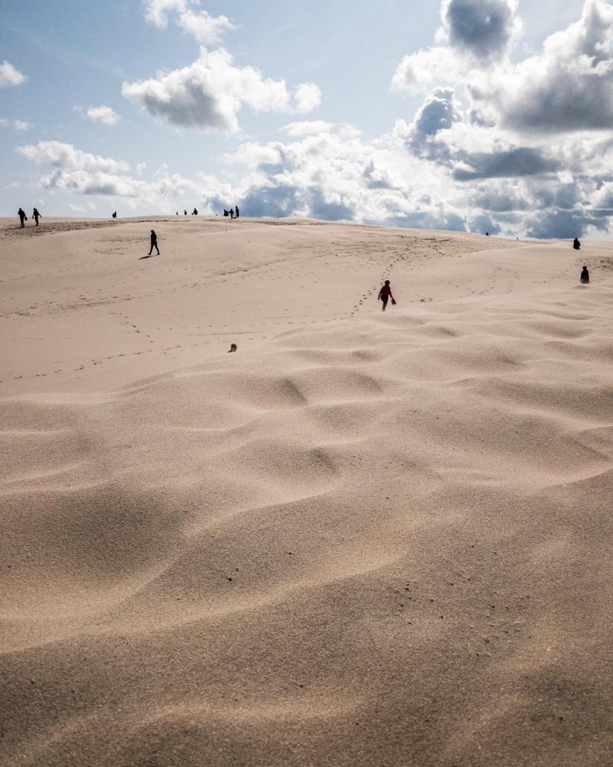 The Migrating Dune