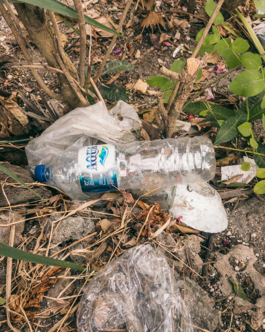 Plastic bottle in nature
