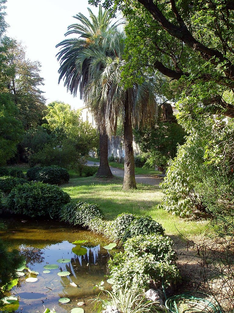 Pisa Botanical Garden