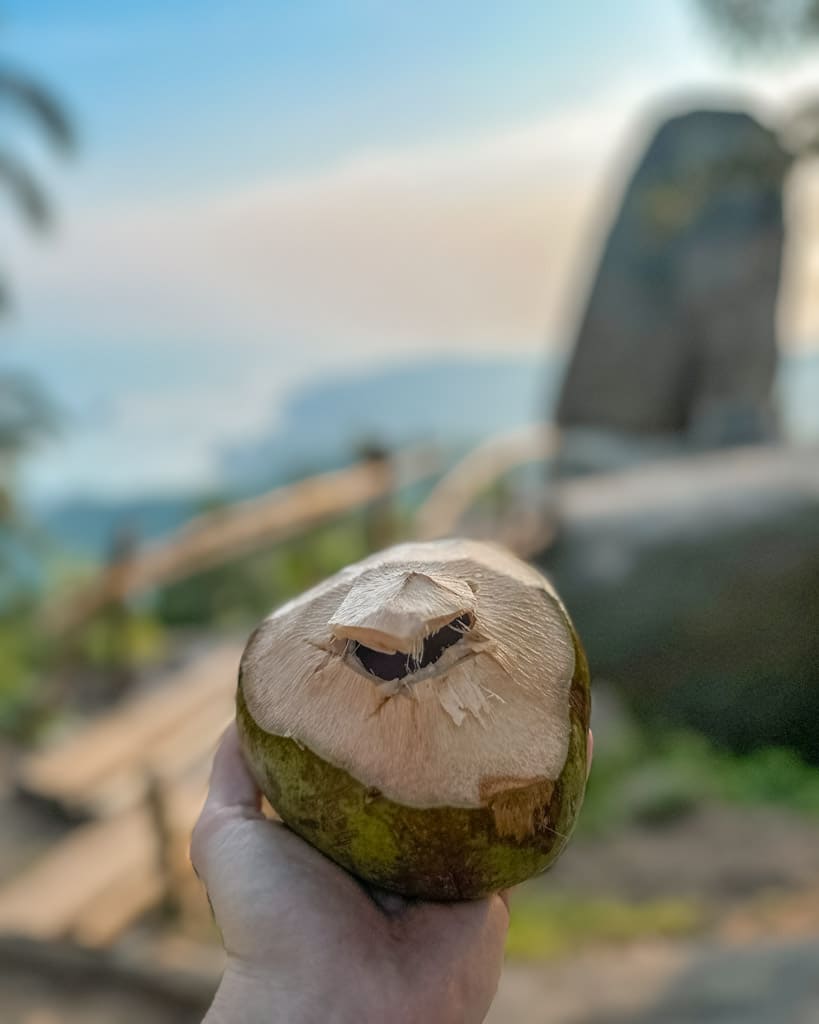 Coconut at Overlap Stone 2