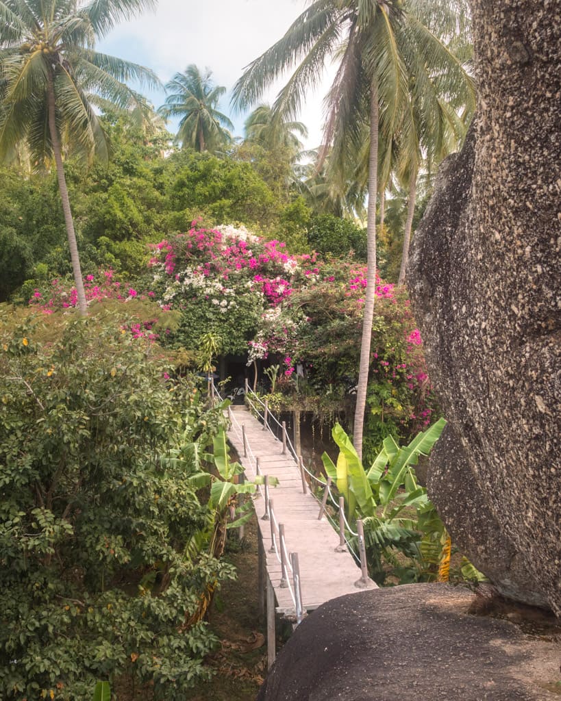 View towards the Overlap Stone 1 house in 2019