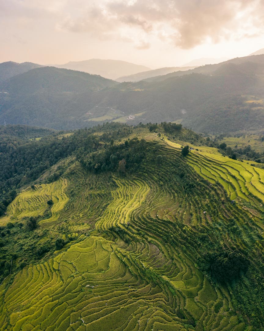Panchase Trek rice terraces