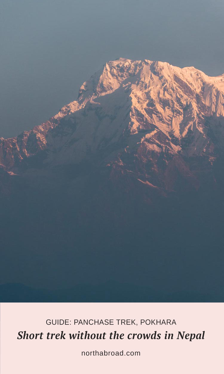 Everything you need to know about the Panchase Trek in the Annapurna region near Pokhara with detailed route description, itinerary ideas and lots of photos.