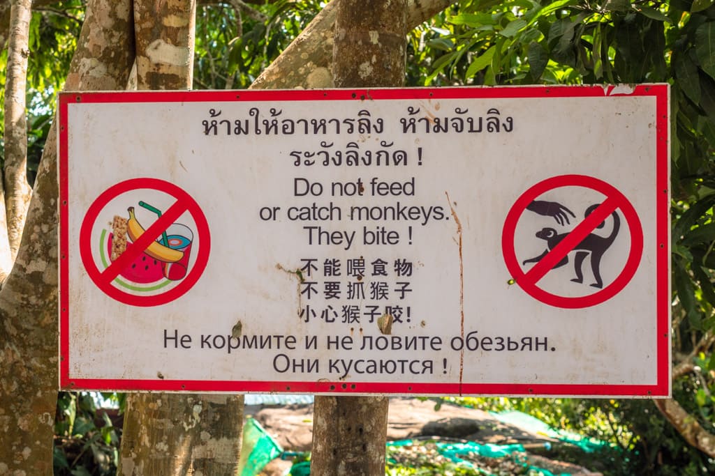 Sign saying that you should not feed the monkeys at the statue