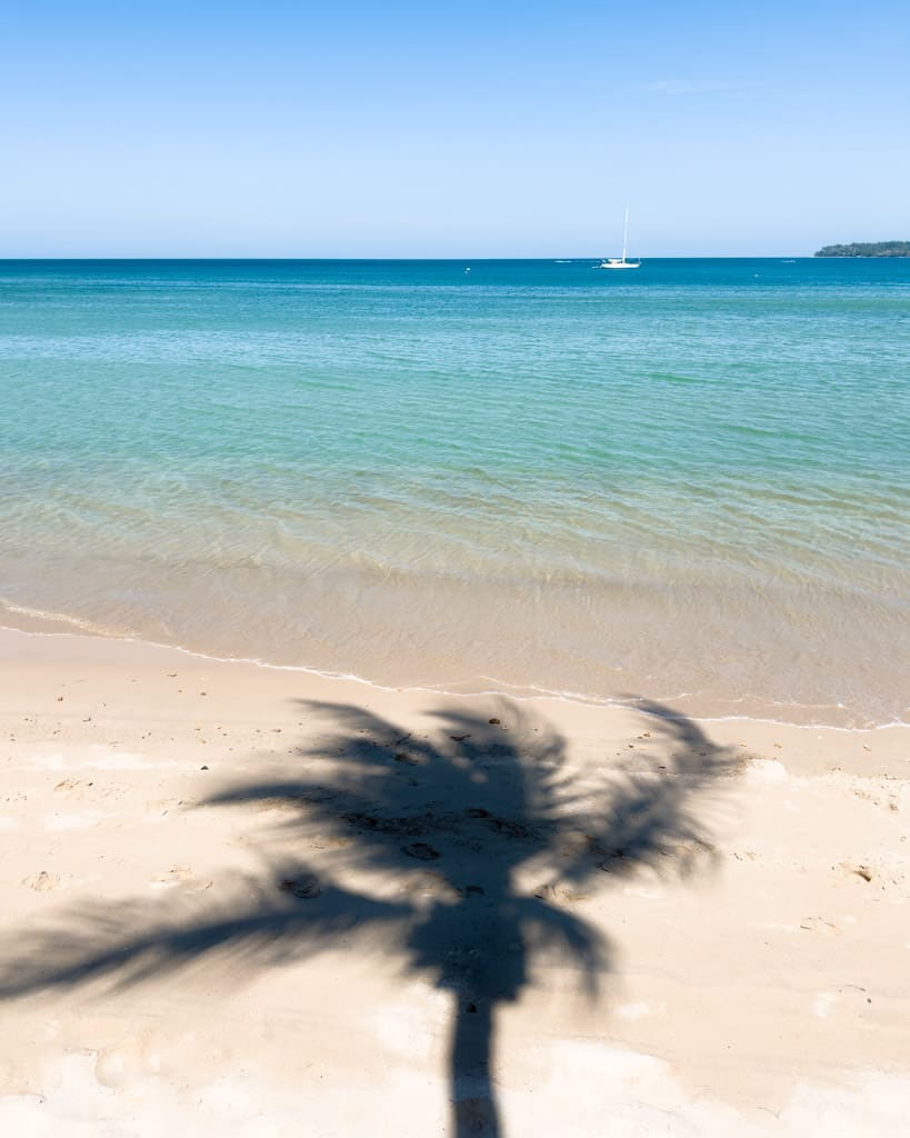 Palm on Phuket on Kamala