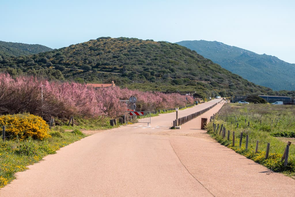 Paved road to Pointe de la Parata near Ajaccio