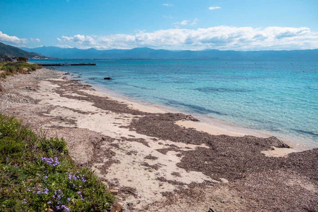 Beach at Pointe de la Parata