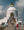 The World Peace Pagoda in Pokhara, Nepal