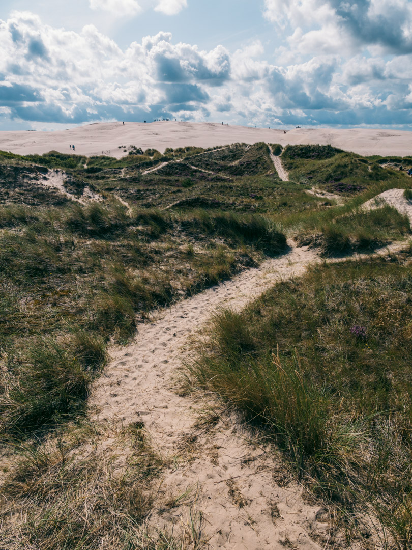 Dunes and sand in Råbjerg Mile