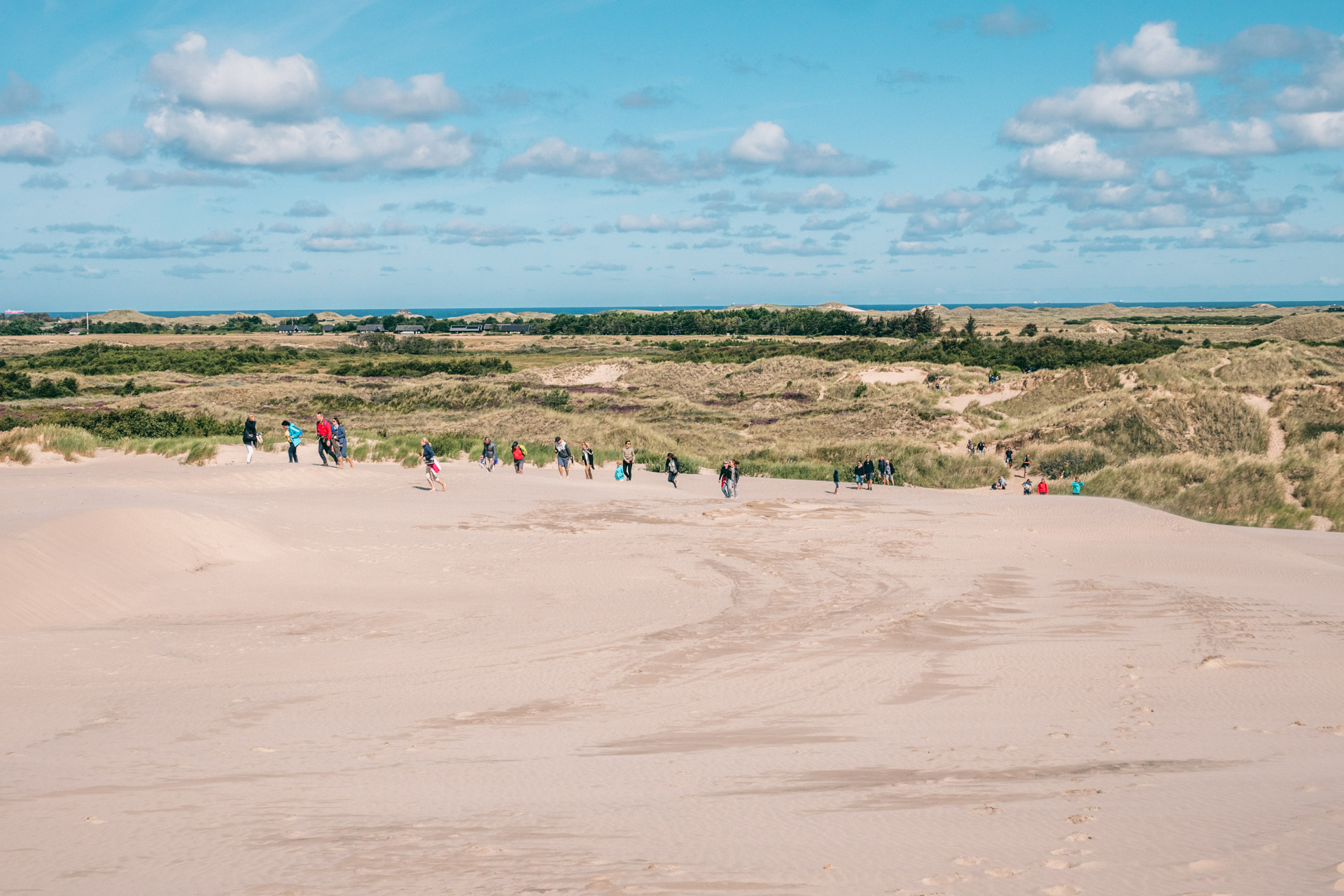 Råbjerg Mile in Skagen: Travel Guide to the Largest Migrating Dune in Northern Europe