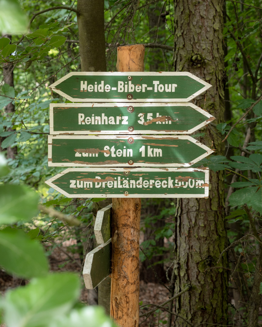 Signs to different hiking routes in Düben Heath