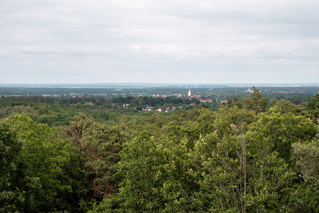 View from the Schöne Aussicht tower