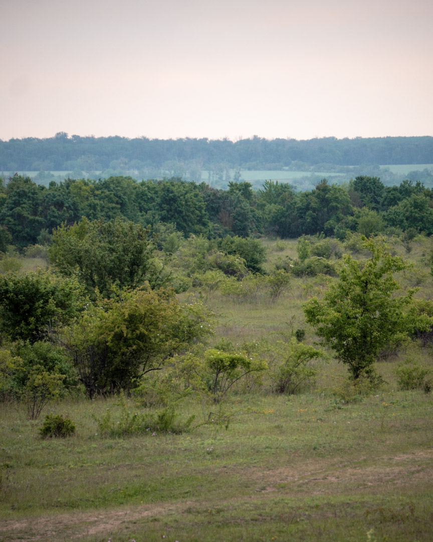 Saale-Unstrut's hilly landscape