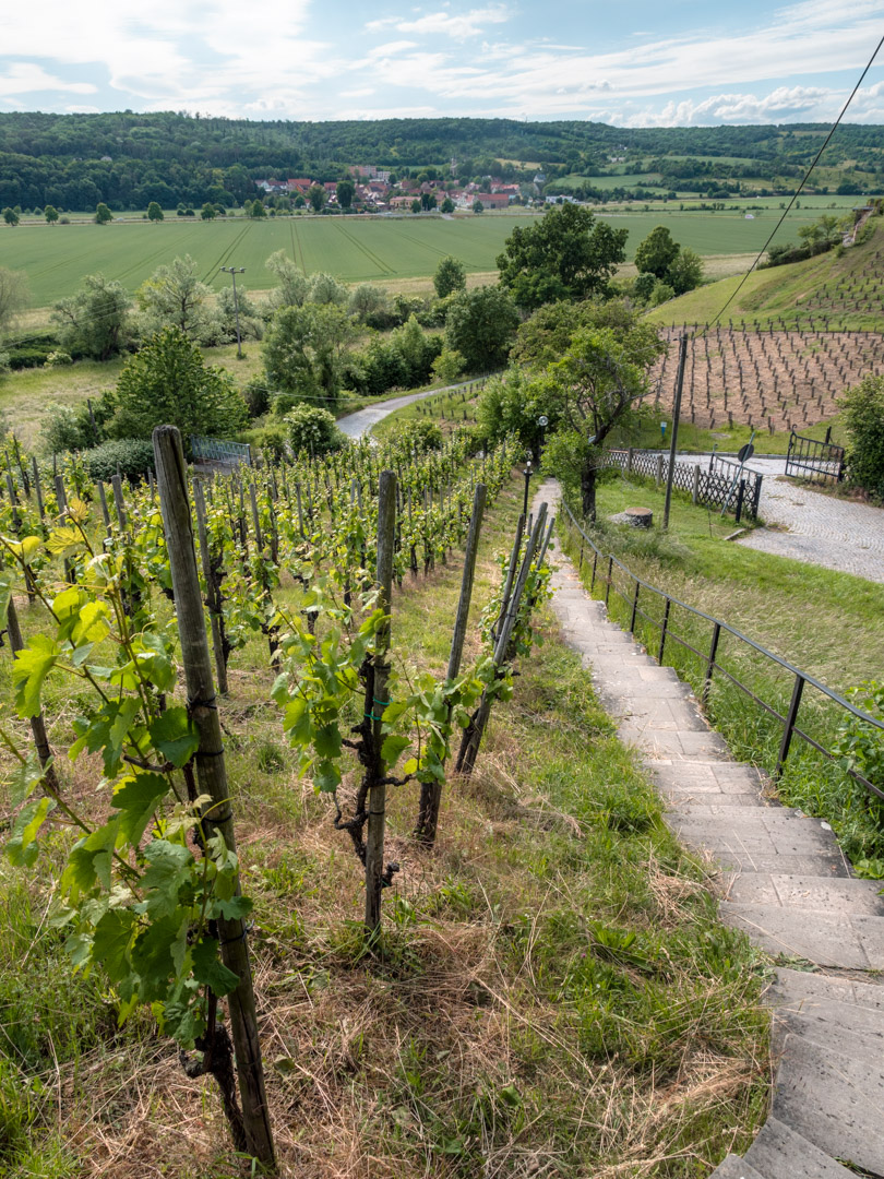 Wine landscape in Saale-Unstrut