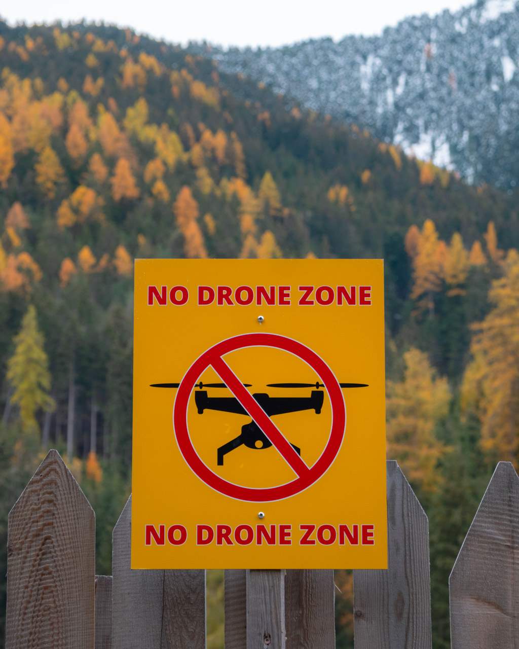 No drone zone