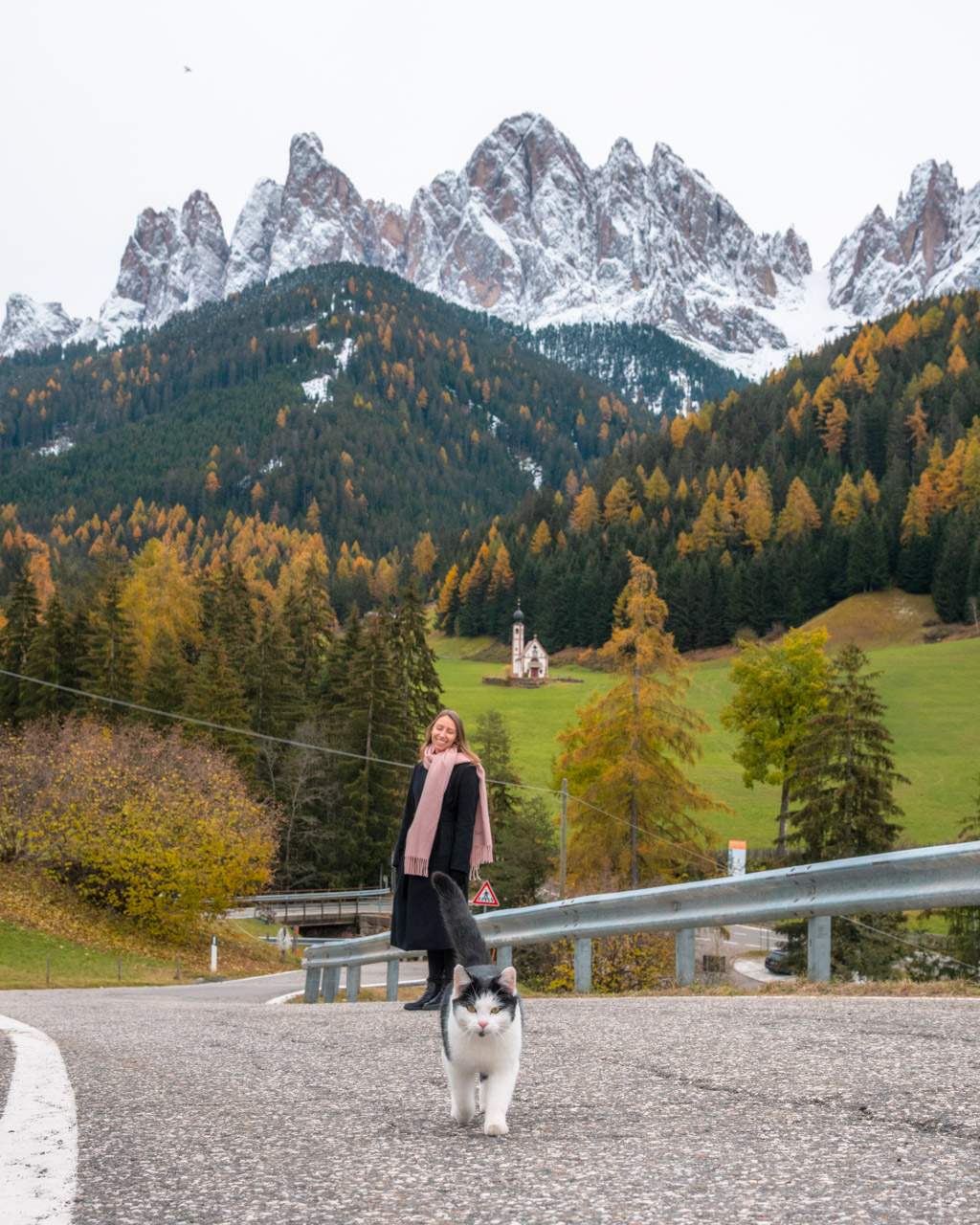 Victoria and cat on the road