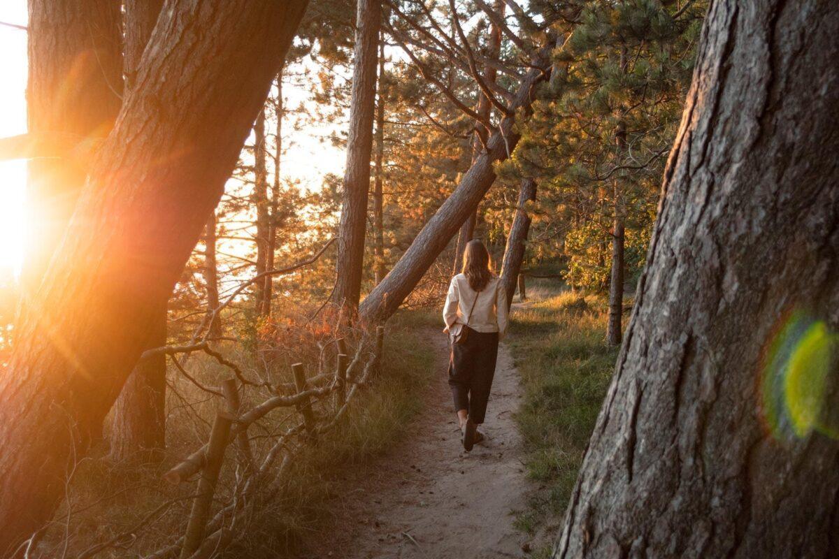 Travel Guide to Schleswig-Holstein: 12 Best Places to Visit in Germany’s Northernmost State