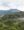 A coffee farm in Mexico with so much shade that you can barely tell it's a farm