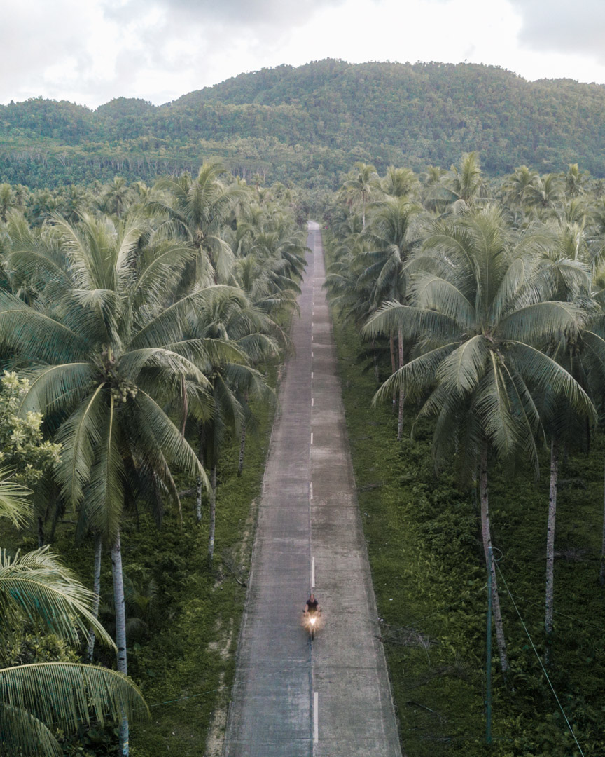 Palm tree road in Siargao motorbike