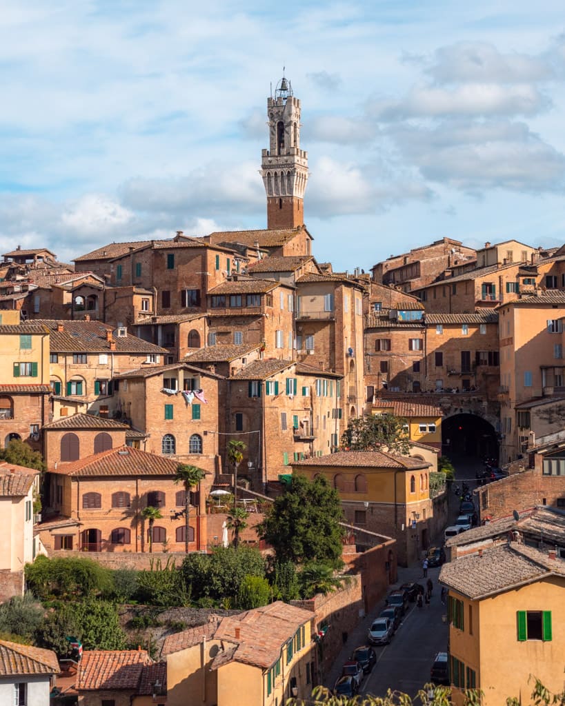 Siena houses and Torre del Mangia