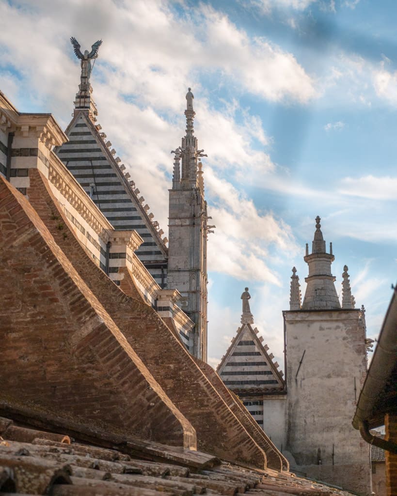 The roof at Siena's cathedral