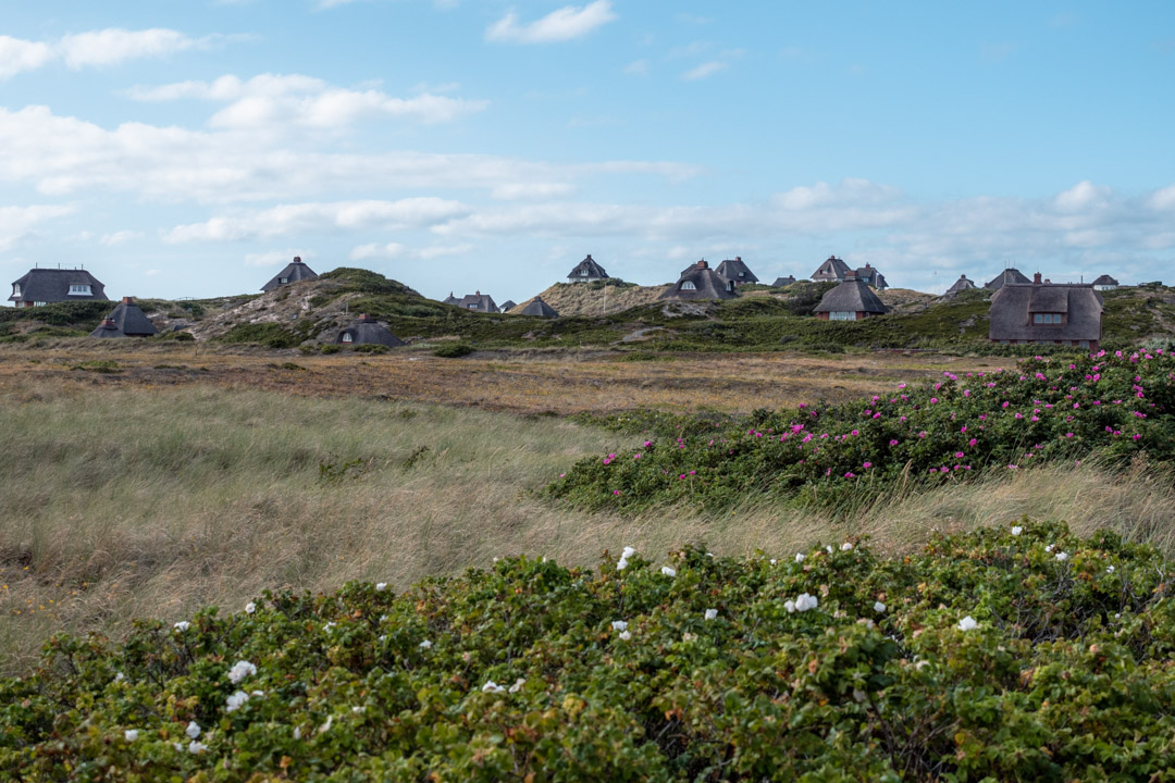 Hörnum houses in the distance on Sylt