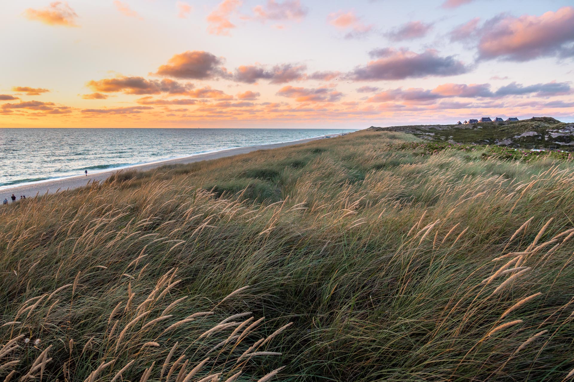 Sylt Travel Guide: 12 Best Things To Do & See on Germany’s Most Famous Island