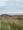 Dune landscape on Sylt