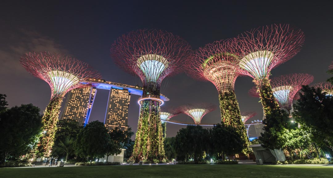 Grassfield in Gardens by the Bay