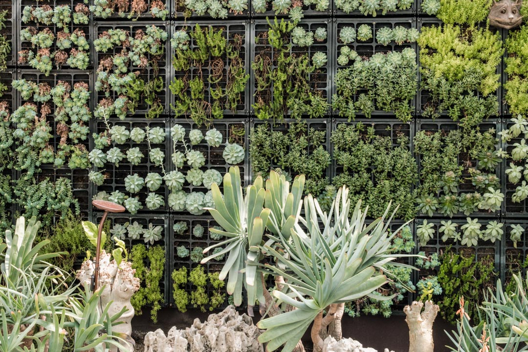 Plant wall