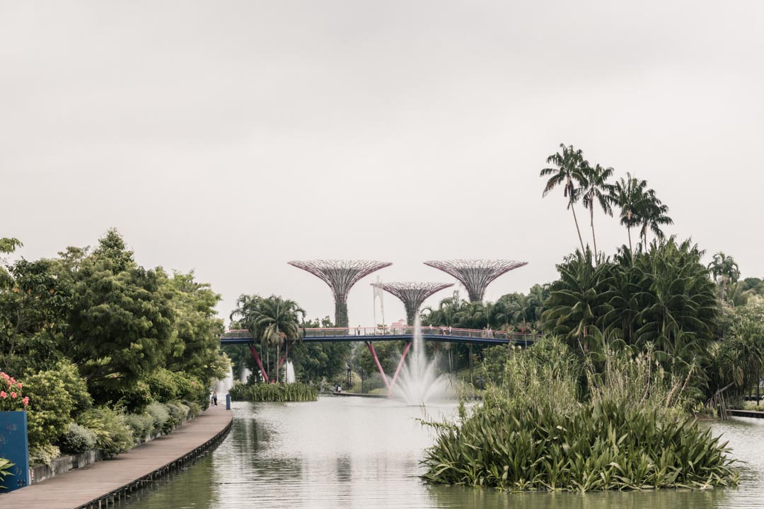 Gardens by the Bay, outside