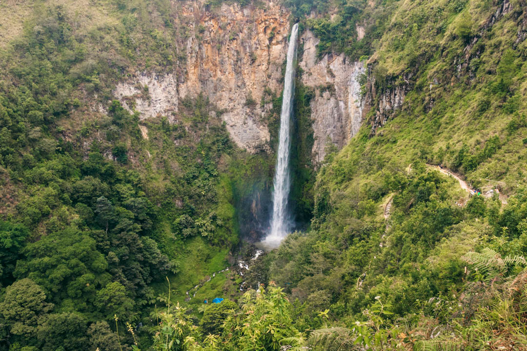 Greenery around the waterfall