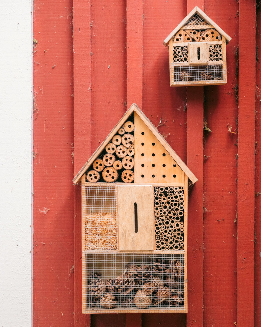 Insect hotels in the national park