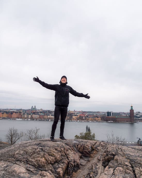 View of Stockholm from Skinnarviksberget