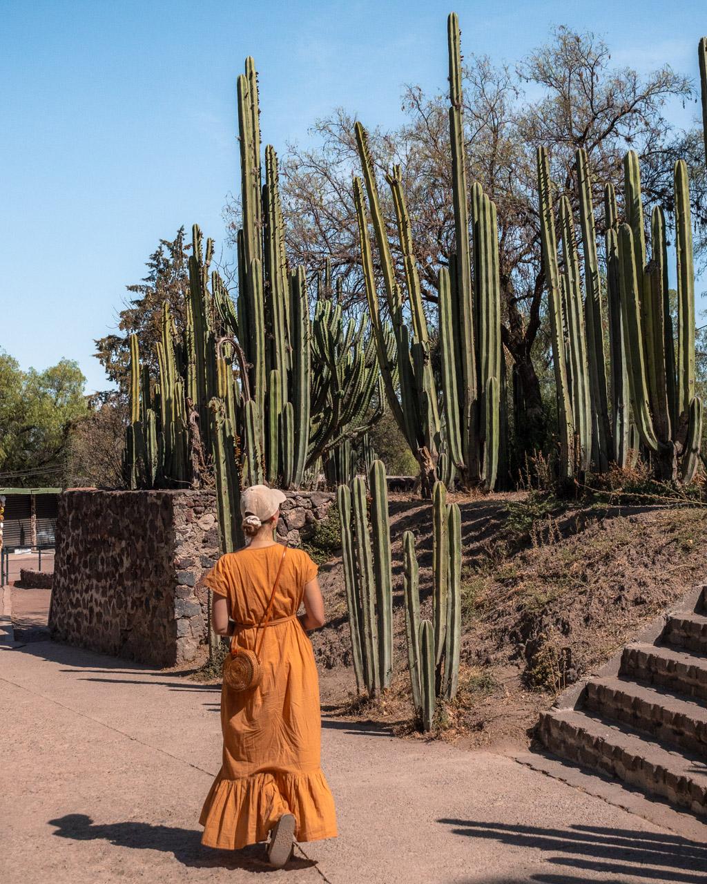 Victoria and cacti in Teotihuacán