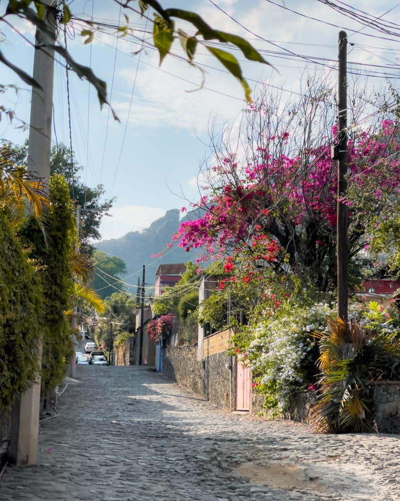 Backstreet of Tepoztlán with cobbled stones and colourful flowering trees