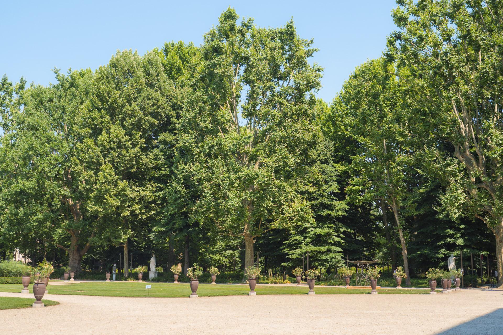 Giardini Reali di Torino