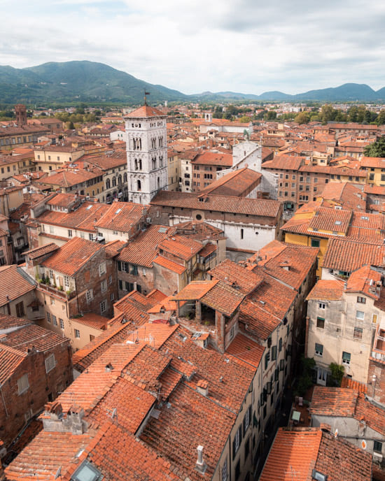 View of the rooftops of Lucca