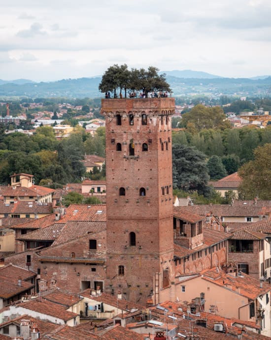 Oak trees on top of Torre Guinigi in Lucca