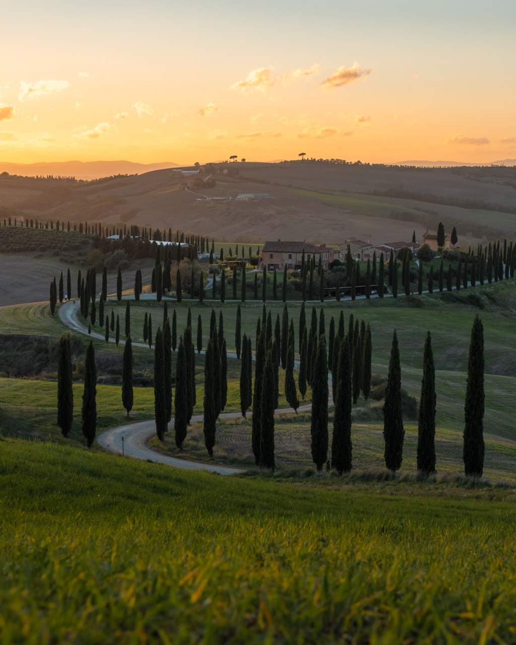 Winding cypress road in Tuscany
