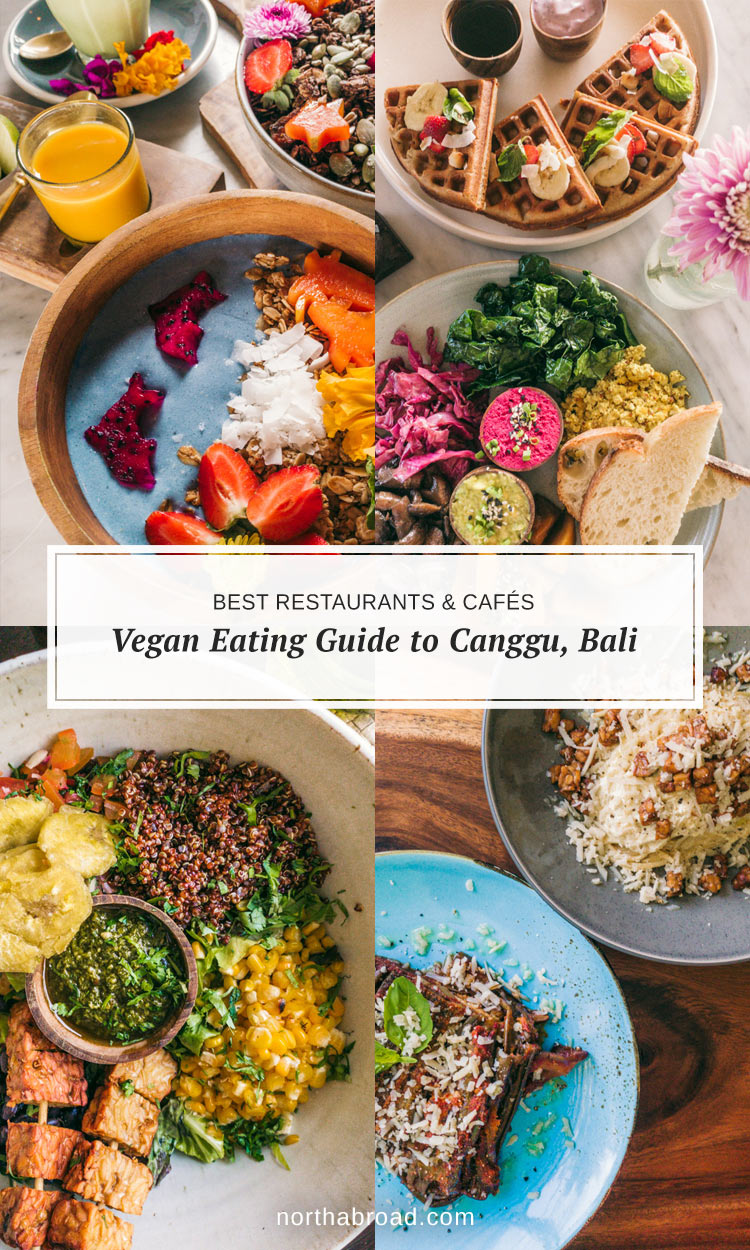 After two months in Canggu: A comprehensive list of the most delicious vegan and vegetarian places to eat in Canggu, Bali, Indonesia.