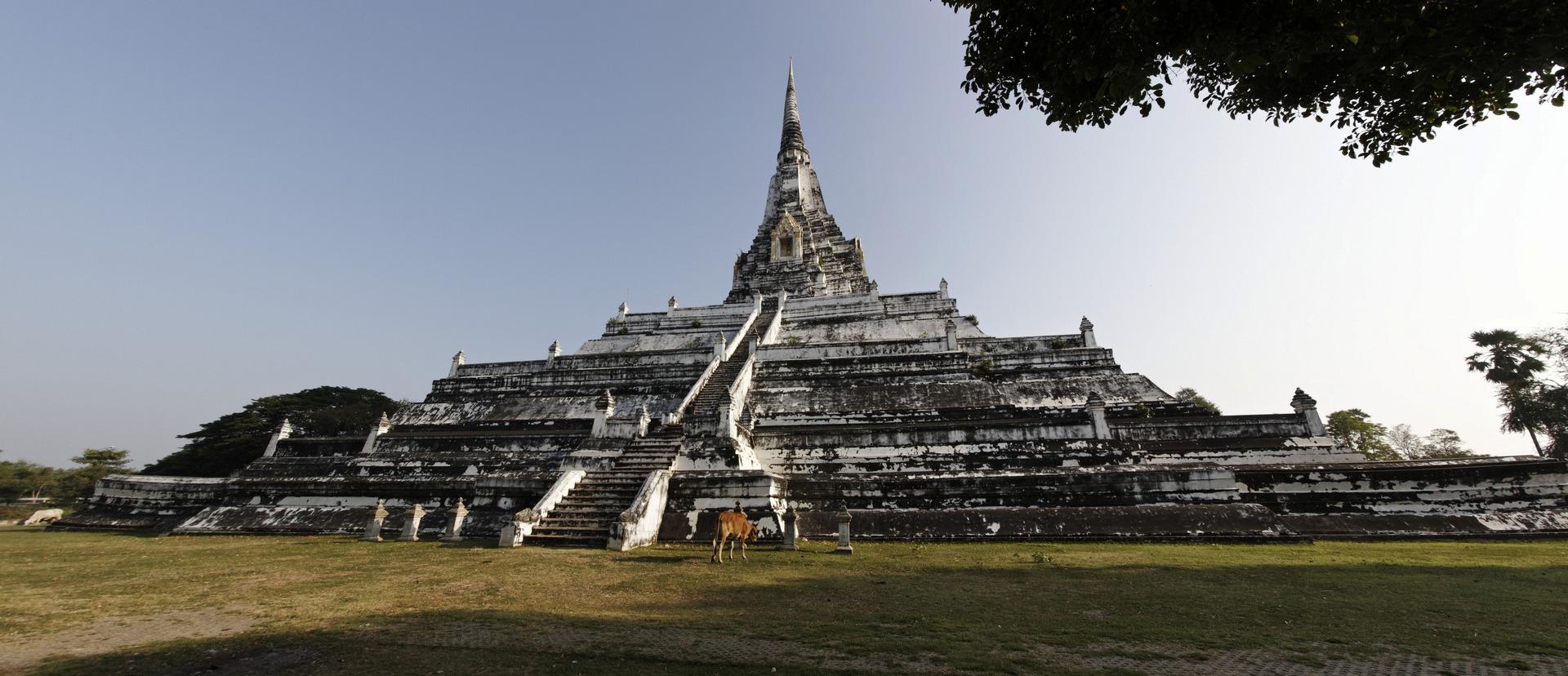 Wat Phukhao Thong in Ayutthaya