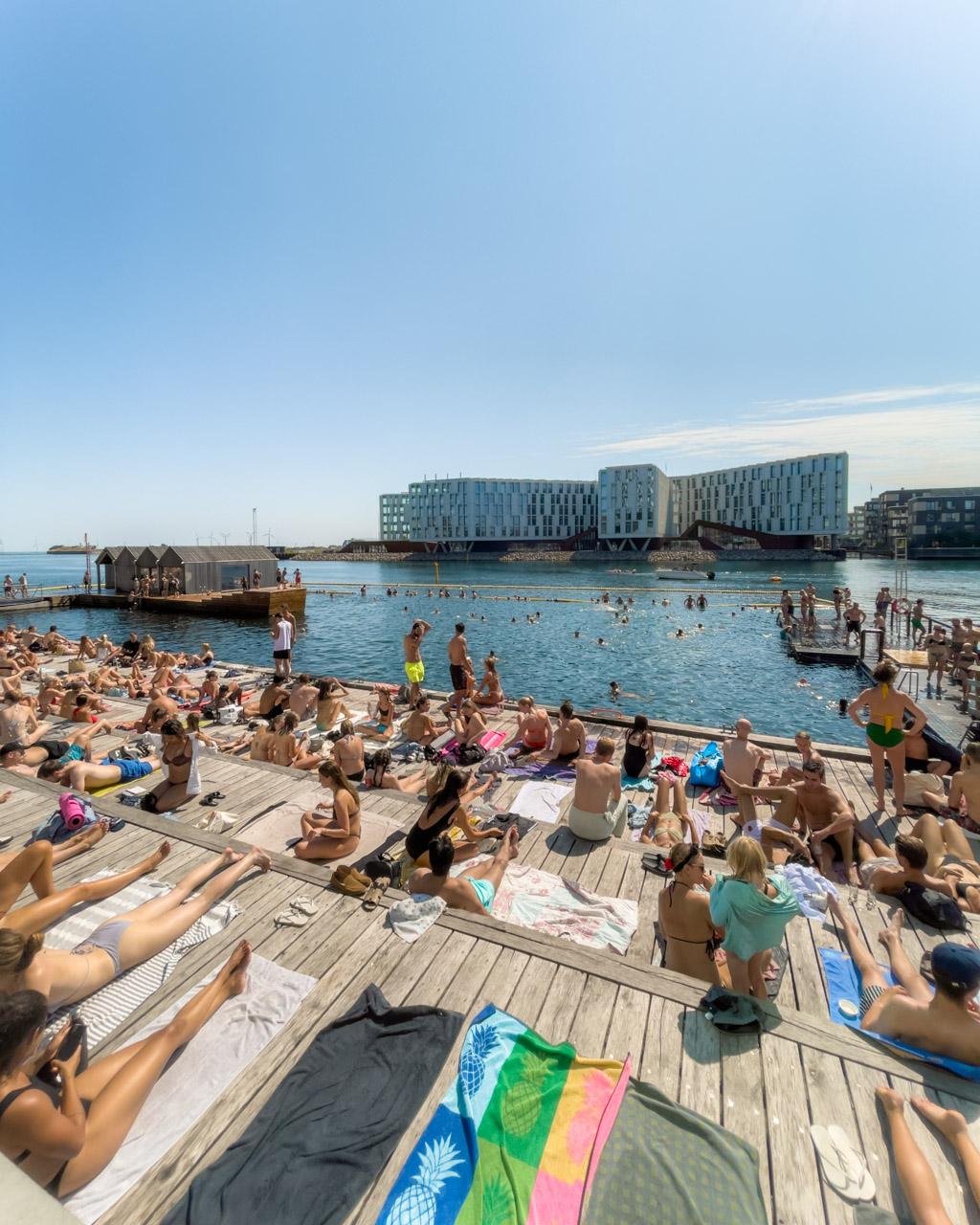 Norhavn's bathing zone in summer