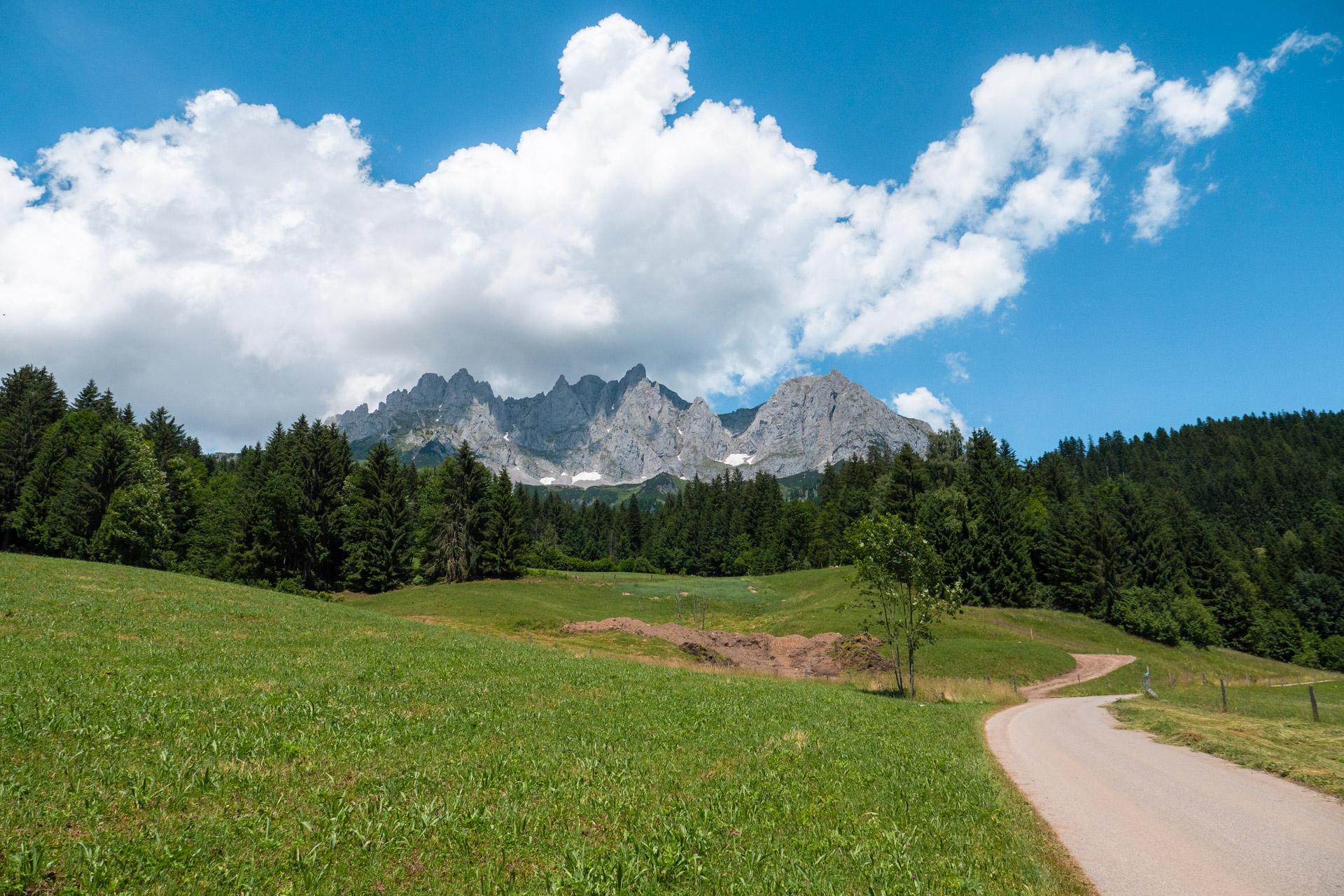Wilder Kaiser mountains and meadow