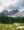 Wilder Kaiser range with flowers in the foreground